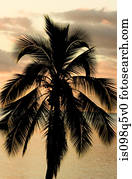 amanhecer, em, Tahiti.