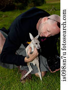 canguru, em, fauna, park.