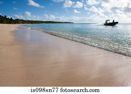 Waves Lap onto Shore, Tonga.