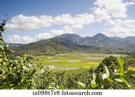 Hanalei valley in kauai