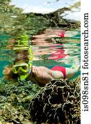 snorkeler, ligado, coral, reef.