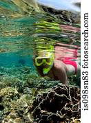 snorkeler, ligado, coral, reef.