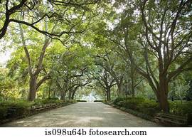 USA, georgia, savannah, forsyth park