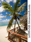 praia, cabanas, e, coqueiros, cozinhe ilhas