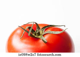 Tomato on white background