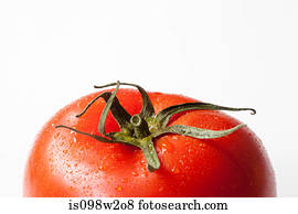 Tomato on white background