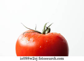 Tomato on white background