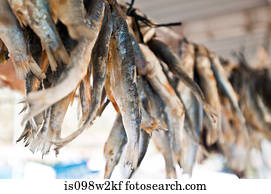 Fish hanging out to dry