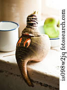 Hollowed, saída, nabos, para, ano novo, celebração