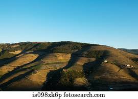 douro, vale, portugal douro, vale, portugal