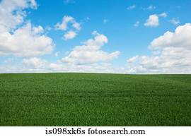 Green field, England, UK