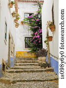 casas, em, obidos, portugal