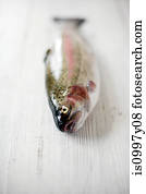 fresco, truta arco-íris