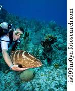 Interaction with Marine Life