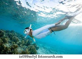 snorkeler, vistas, recife coral