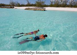 Snorkeling in the Atlantic Ocean