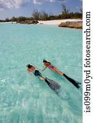 Snorkeling in the Atlantic Ocean