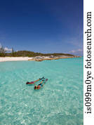 Snorkeling in the Atlantic Ocean