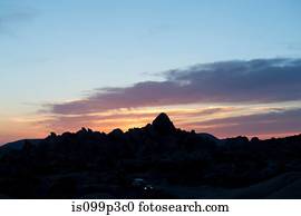 Desert scene, silhouette