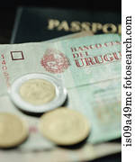 Close up of Uruguayan currency