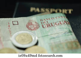 Close up of Uruguayan currency