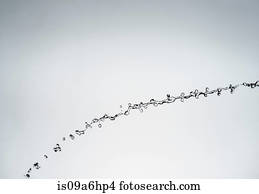 Water splashing in air