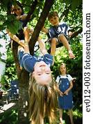 crianças, tocando, em, árvore