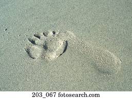 Footprint