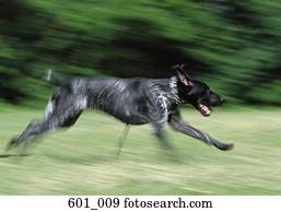 executando, ponteiro