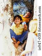 crianças, ligado, um, árvore