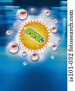 Internet connections