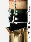champagner champagner
