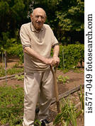 homem velho, vegetal, jardinagem