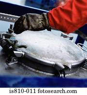 engenheiro, com, maquinaria