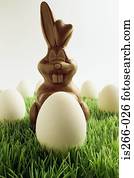 bunny easter chocolate, e, ovos