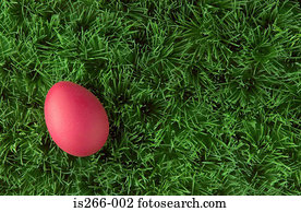 cor-de-rosa, ovo páscoa, ligado, capim