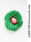 ovo páscoa, em, ninho