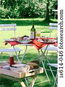 almoço, jardim, com, vinho.