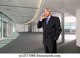Businessman using cellular telephone