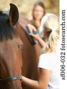 dois, mulheres jovens, aparência, um, cavalo