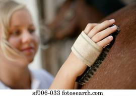 mulher jovem, aparência, cavalo