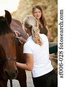 mulheres jovens, aparência, um, cavalo