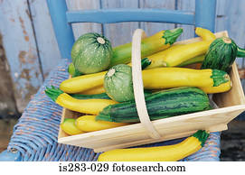 Green and yellow courgettes
