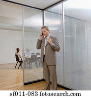 Businessman using a cellular telephone