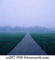 Park in the mist