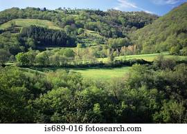 idyllic, paisagem rural