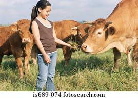 menina, alimentação, vaca