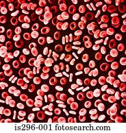 Red blood cells