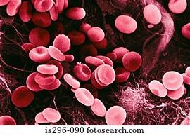 Red blood cells