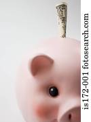Dollar stuffed in a piggy bank
